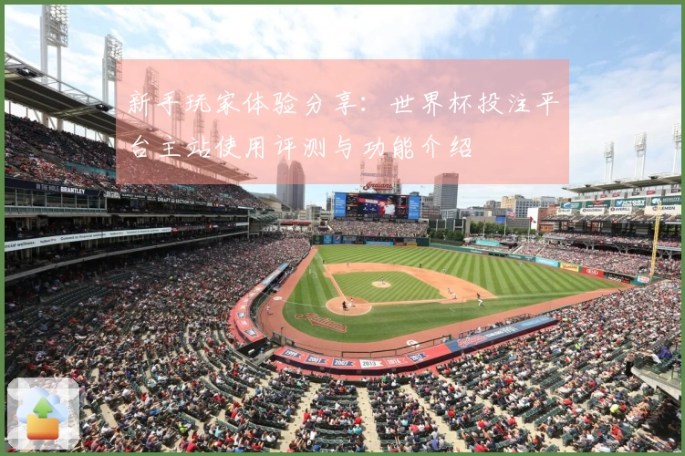 新手玩家体验分享：世界杯投注平台主站使用评测与功能介绍