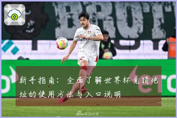 新手指南：全面了解世界杯竞猜地址的使用方法与入口说明