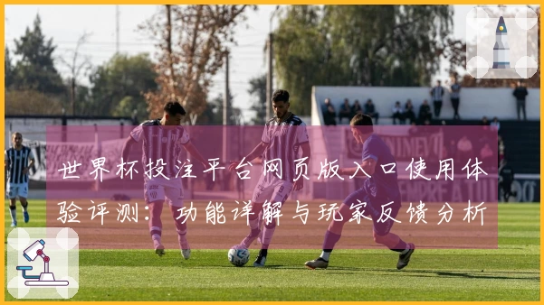 世界杯投注平台网页版入口使用体验评测：功能详解与玩家反馈分析