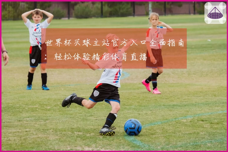 世界杯买球主站官方入口全面指南：轻松体验精彩体育直播